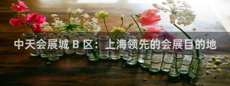 果博平台开户电话查询：中天会展城 B 区：上海领先的会展目的地