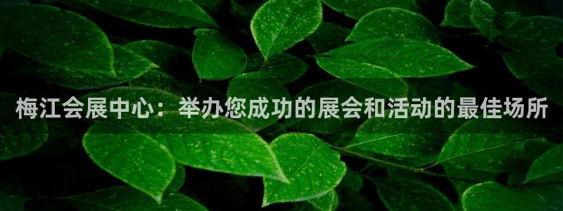 果博公司开户