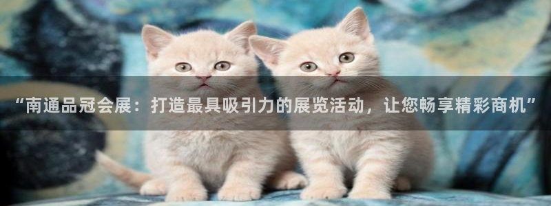 果博公司会员开户