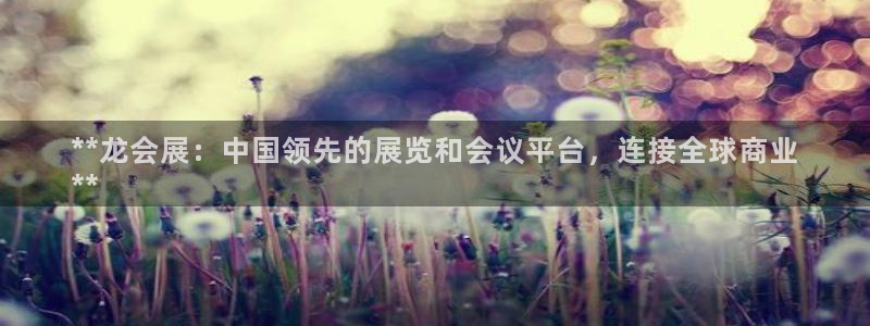 果博平台真实吗知乎推荐：**龙会展：中国领先的展览和会议平台，连接全球商业
**
