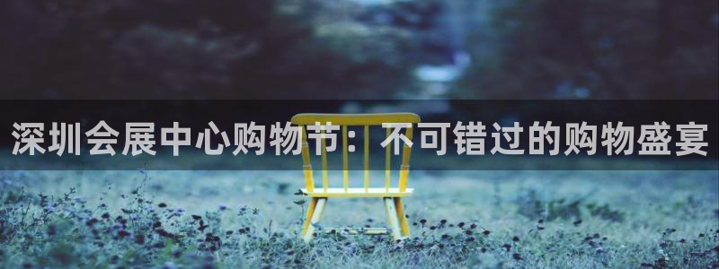 果博集团：深圳会展中心购物节：不可错过的购物盛宴