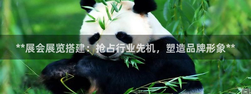 果博管理网：**展会展览搭建：抢占行业先机，塑造品牌形象**
