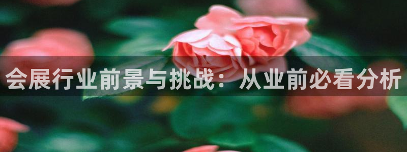 下载果博app：会展行业前景与挑战：从业前必看分析