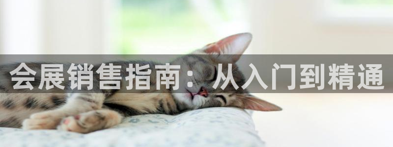 果博客服电话：会展销售指南：从入门到精通
