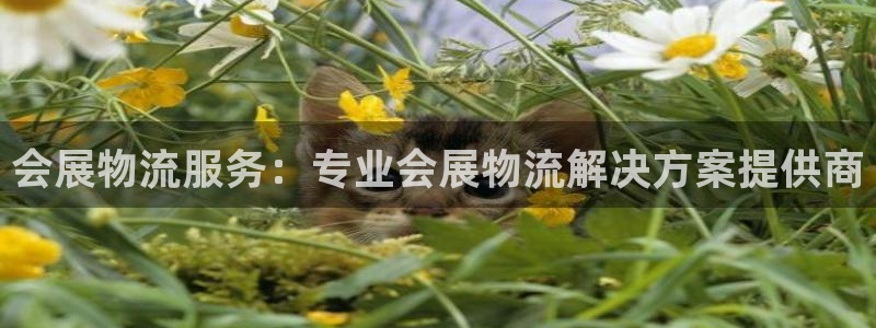 果博平台链接：会展物流服务：专业会展物流解决方案提供商