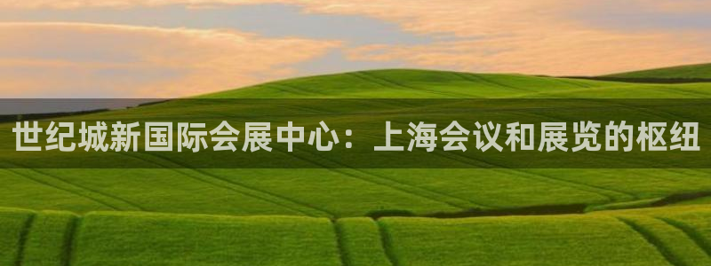 果博环保公司：世纪城新国际会展中心：上海会议和展览