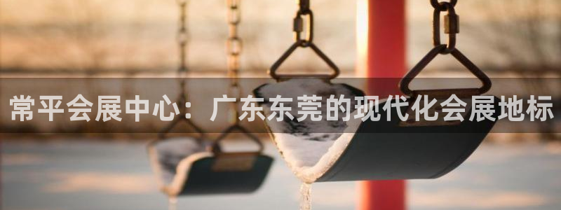 果博公司会员账号开户