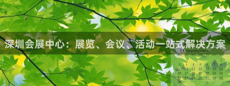 果博公司网站：深圳会展中心：展览、会议、活动一站式解决方案