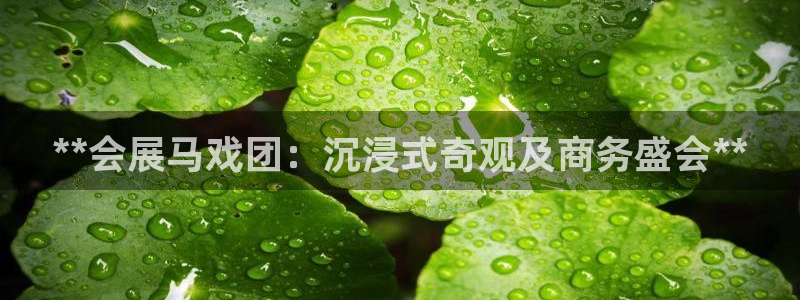 果博平台开户电话查询：**会展马戏团：沉浸式奇观及商务盛会**