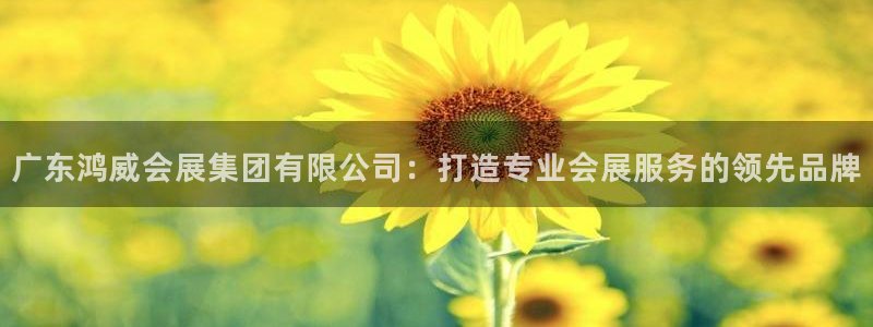 果博平台电话：广东鸿威会展集团有限公司：打造专业会展服务的领先品牌