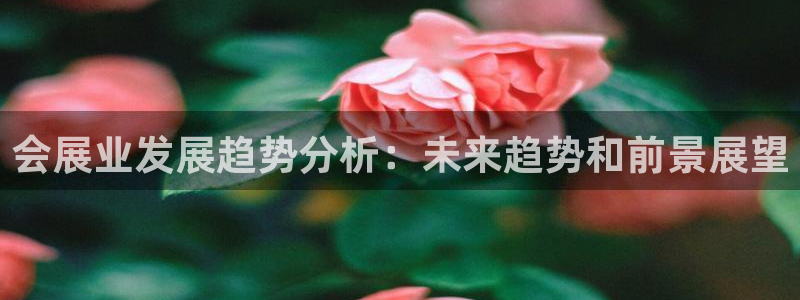 果博注册会员：会展业发展趋势分析：未来趋势和前景展望