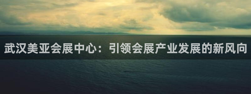 果博公司会员注册：武汉美亚会展中心：引领