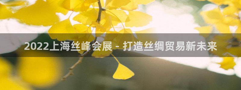 果博公司客服微信公众号：2022上海丝峰